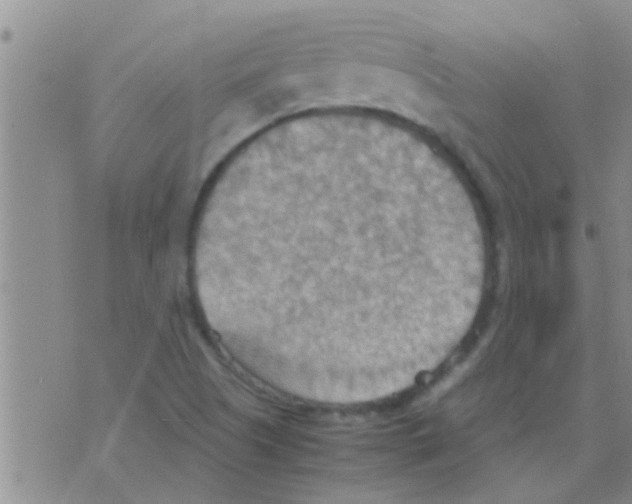 X0000075891505200610151738