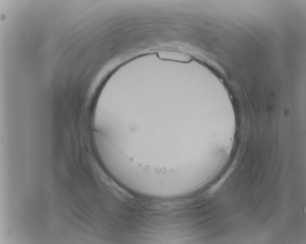 X0000075891506200610151738