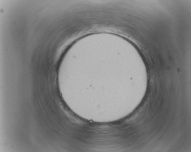 X0000075891507200610151738