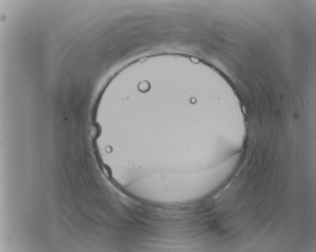 X0000075891508200610151738