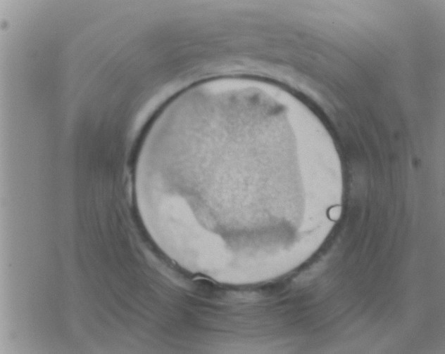 X0000075891509200610151738