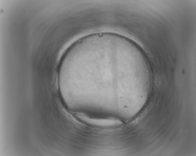 X0000075891510200610151738