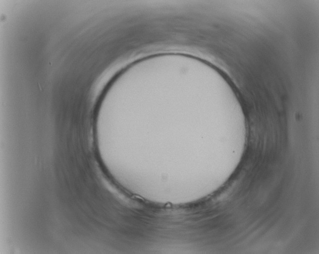 X0000075891511200610151738