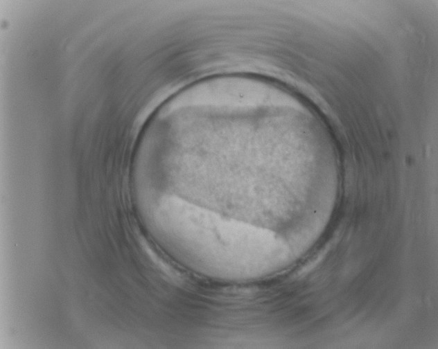 X0000075891513200610151738