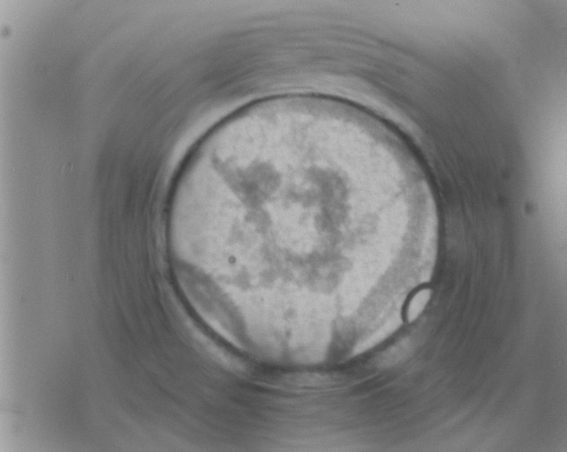 X0000075891517200610151738