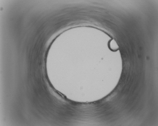 X0000075891518200610151738