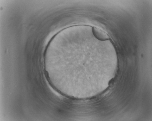 X0000075891519200610151738