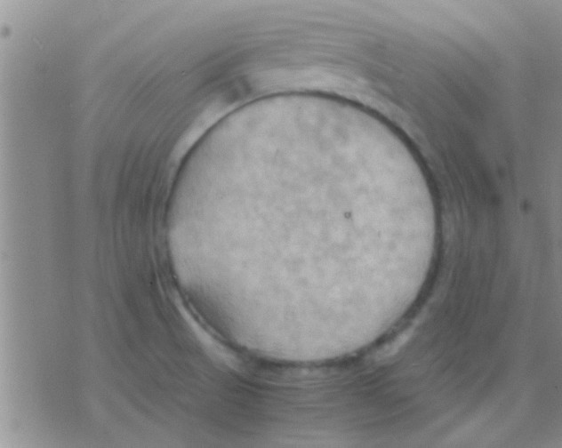 X0000075891521200610151738