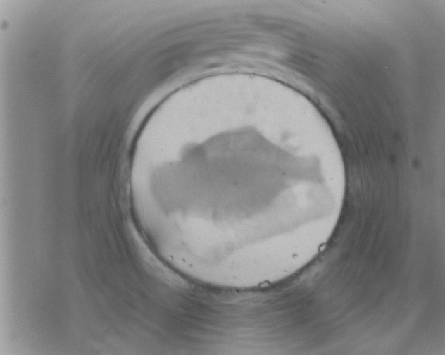 X0000075891522200610151738