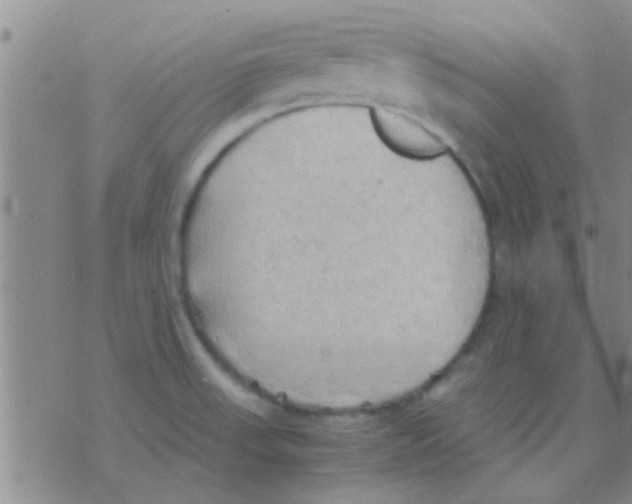 X0000075891523200610151738