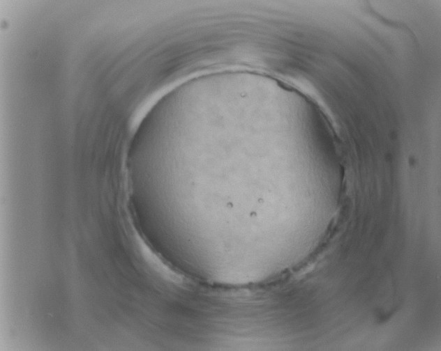 X0000075891524200610151738