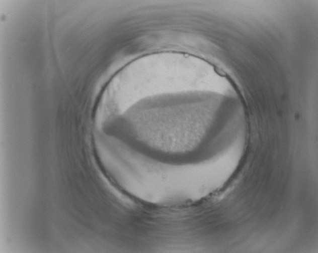 X0000075891525200610151738