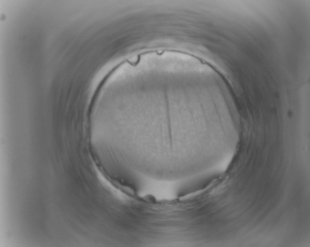 X0000075891527200610151738