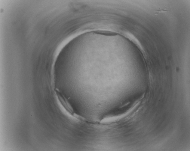 X0000075891528200610151738