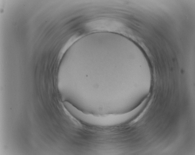 X0000075891529200610151738