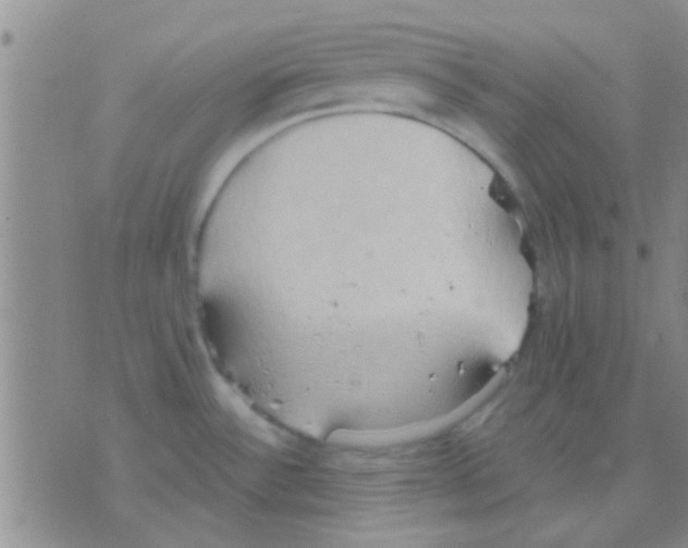 X0000075891532200610151738