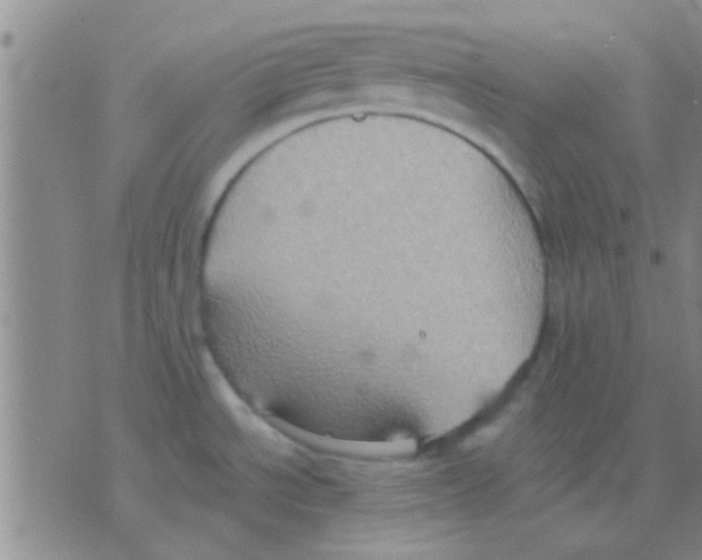 X0000075891534200610151738