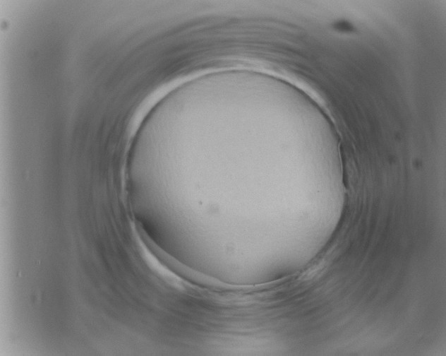 X0000075891535200610151738