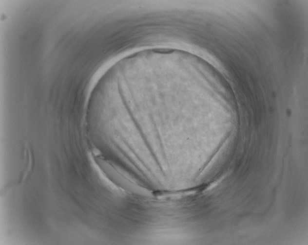 X0000075891536200610151738