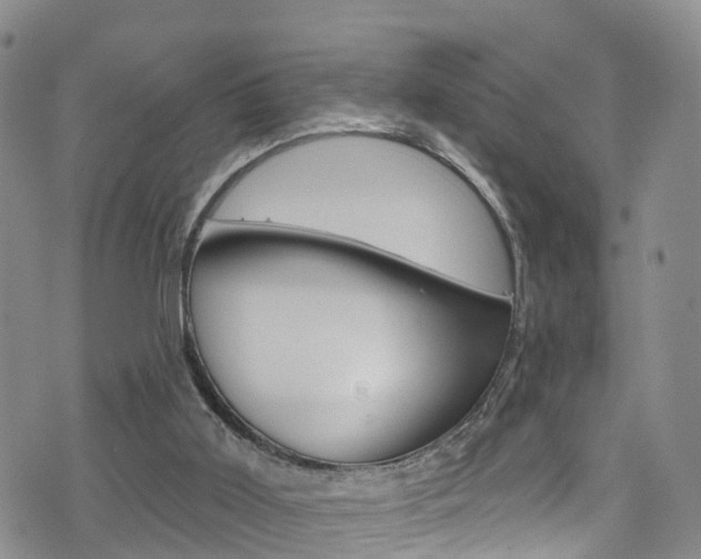 X0000075900011200609151102