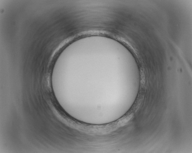 X0000075900016200609151102