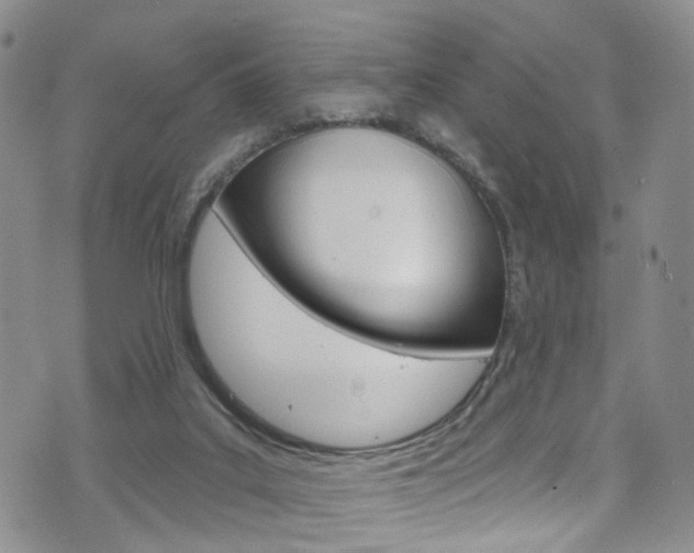 X0000075900019200609151102