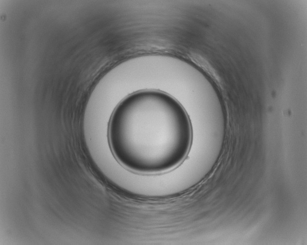 X0000075900021200609151102