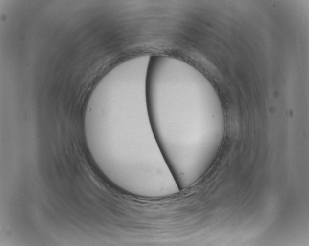 X0000075900022200609151102