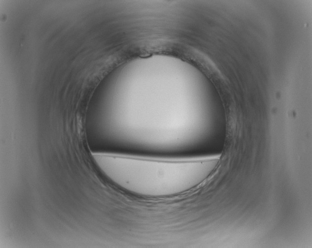 X0000075900025200609151102