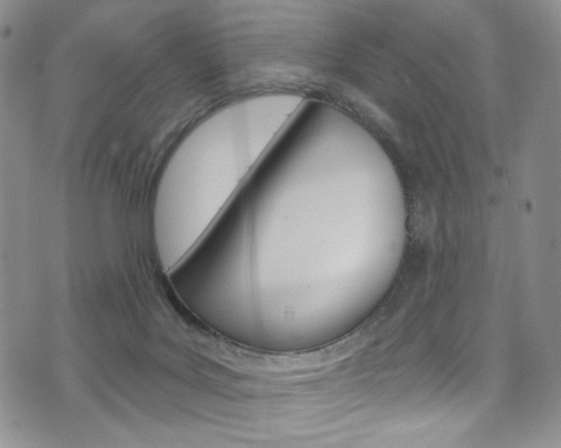 X0000075900027200609151102