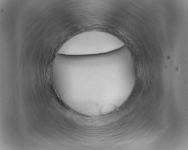 X0000075900030200609151102