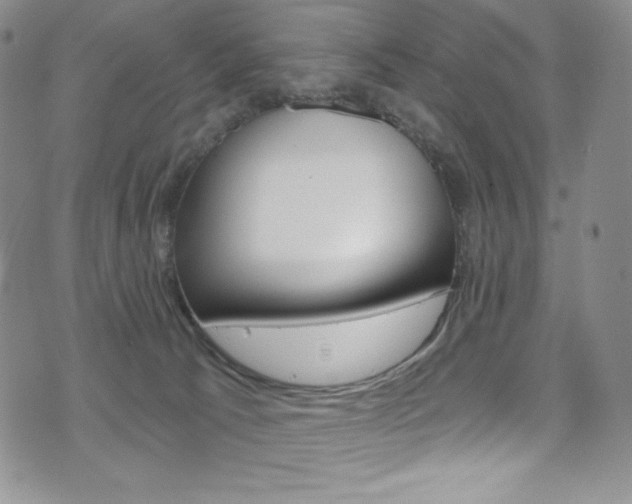 X0000075900033200609151102