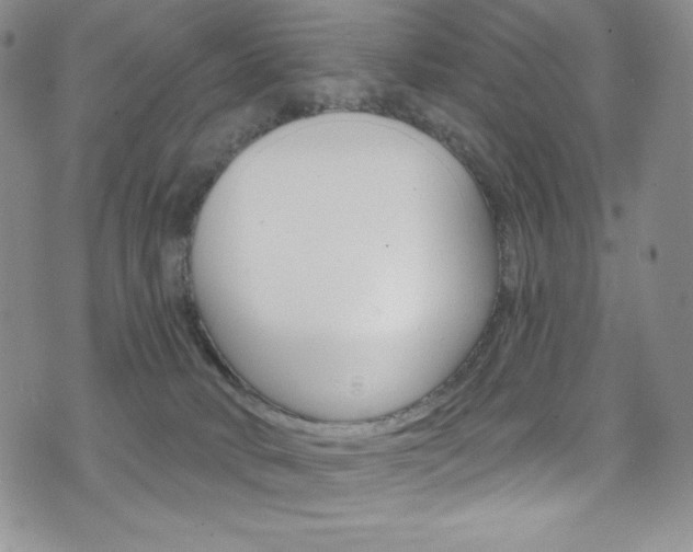 X0000075900034200609151102