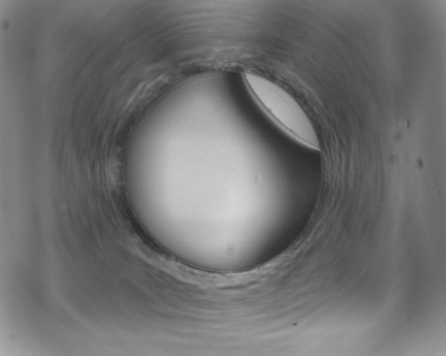 X0000075900035200609151102