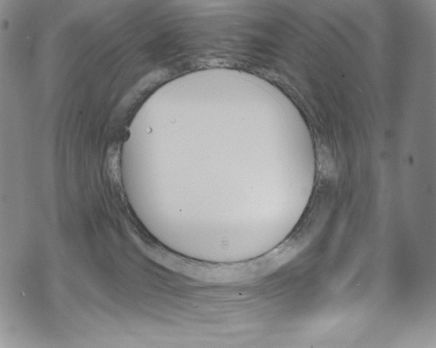 X0000075900036200609151102