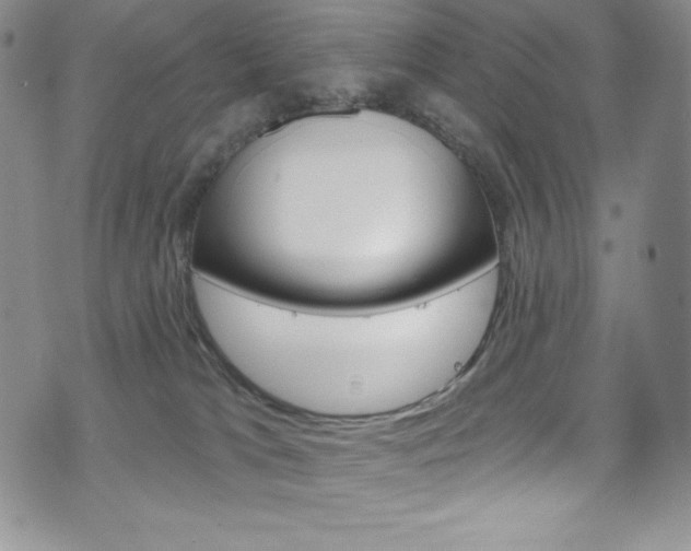 X0000075900037200609151102