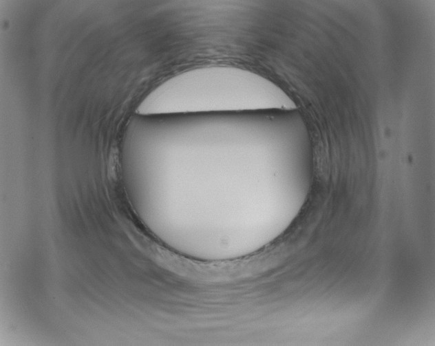 X0000075900038200609151102