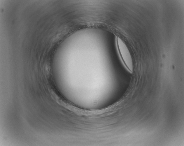 X0000075900039200609151102