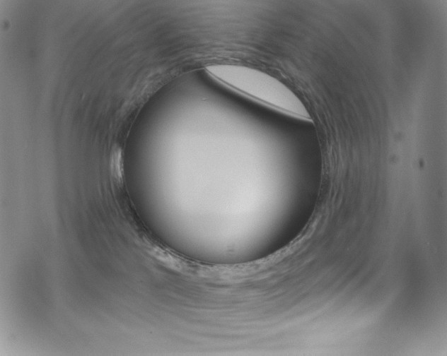 X0000075900041200609151102