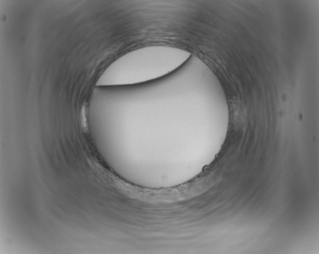 X0000075900042200609151102