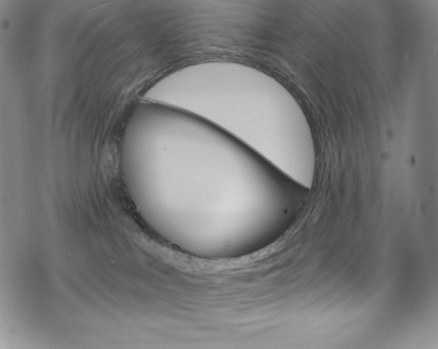 X0000075900043200609151102