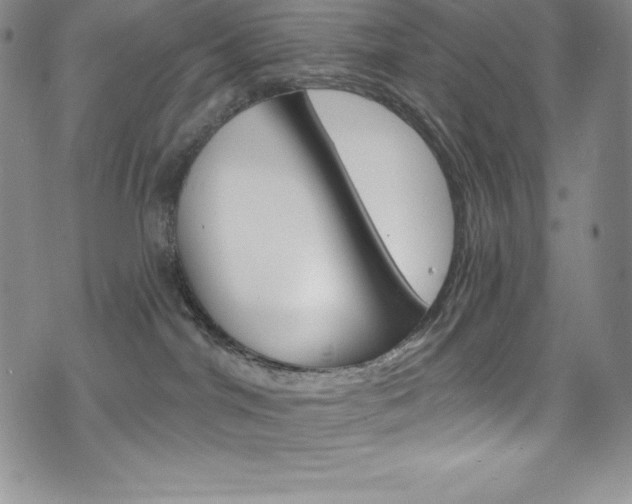 X0000075900044200609151102