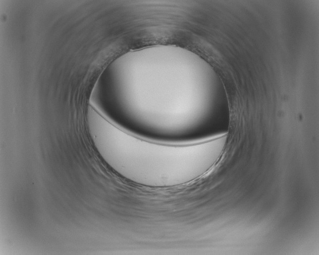 X0000075900045200609151102