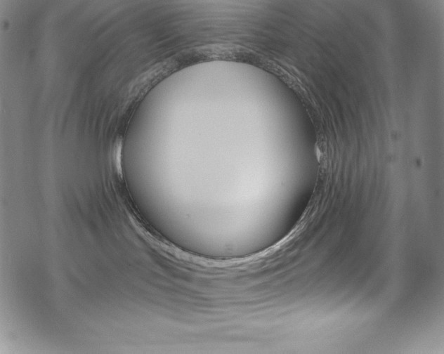 X0000075900047200609151102