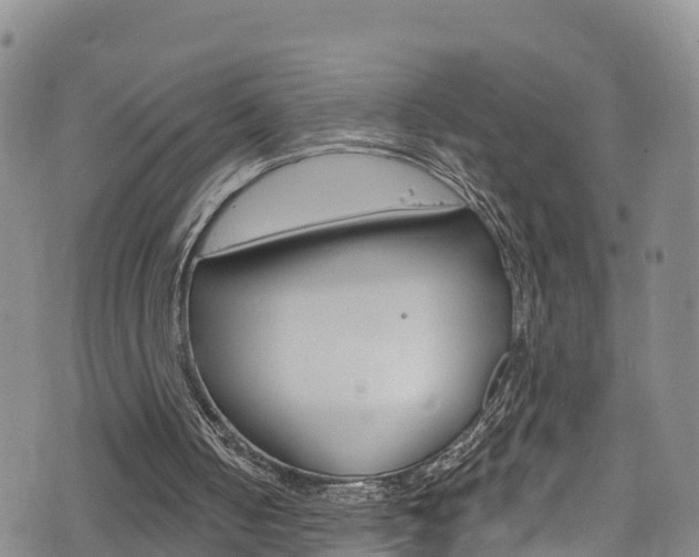 X0000075900050200609151101