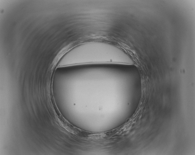 X0000075900051200609151101