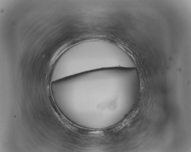 X0000075900053200609151101