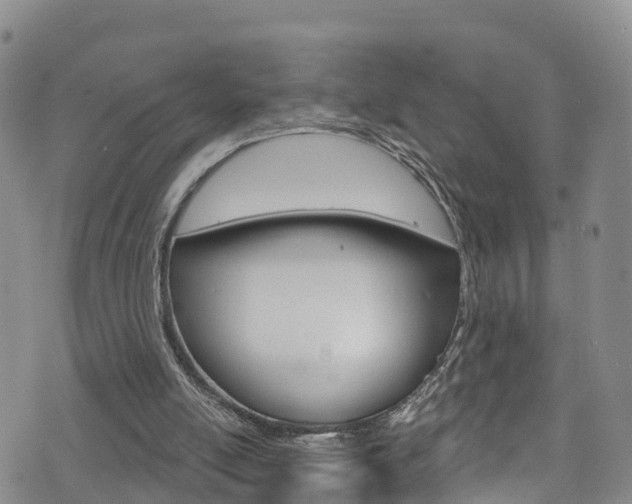 X0000075900054200609151101