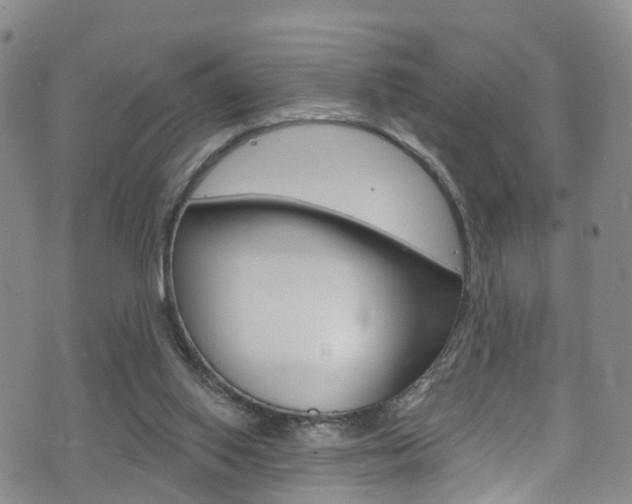 X0000075900062200609151101