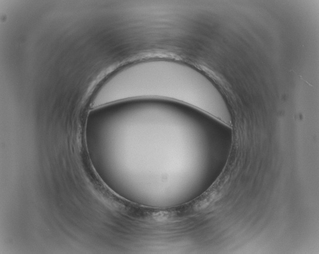 X0000075900064200609151101